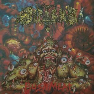 Dipygus - Bushmeat
