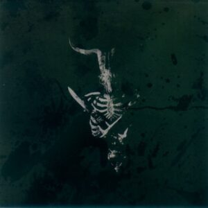 Thralldom – Beast Eye Opened To The Sky (CD)