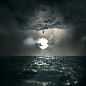 Wooden Veins - In Finitude (Digi)
