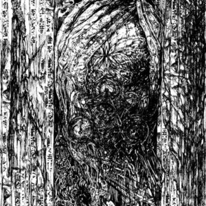 Psychotomimetic – Delirio Dimensional (Tape)