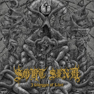 Sort Sind - I Skyggen Af Livet (CD)