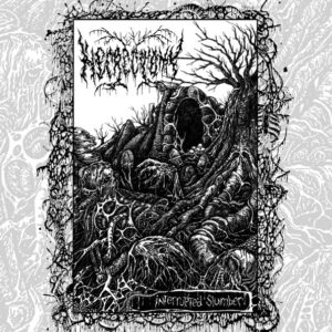 Necrectomy - Interrupted Slumber (CD/Poster/Obi)